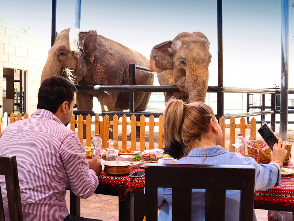 emirates park zoo tickets